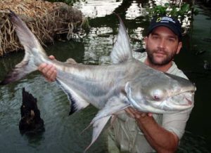 10 Ikan Raksasa Air Tawar yang Terancam Punah