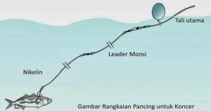 Berburu Ikan Tenggiri dengan Teknik Ngoncer