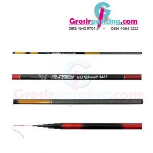 Joran Tegek Audrey Vanellus Master king