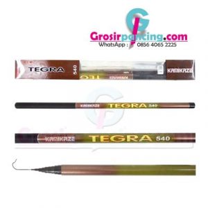 Joran Tegek Kamikaze Tegra Carbon