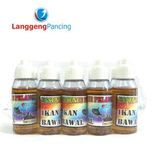 Curve Pelangi Ikan Bawal
